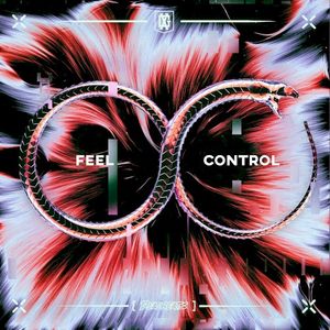 FEEL & CONTROL (Single)