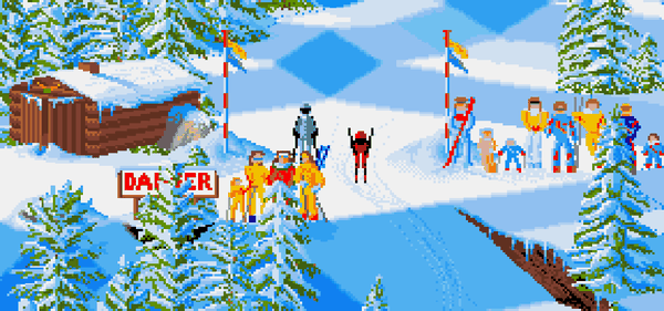 Professional Ski Simulator