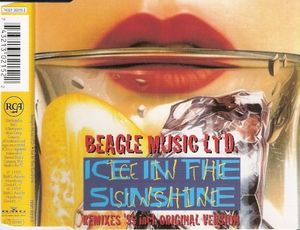 Ice in the Sunshine (Remixs '95) (Single)
