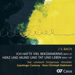 BWV 21, Aria (Soprano): Seufzer, Tränen, Kummer, Not