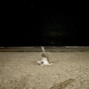 Blurred (Single)