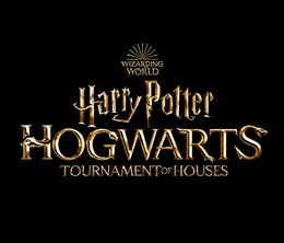 image-https://media.senscritique.com/media/000021088439/0/harry_potter_hogwarts_tournament_of_houses.png