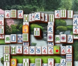 image-https://media.senscritique.com/media/000021088579/0/microsoft_mahjong.jpg