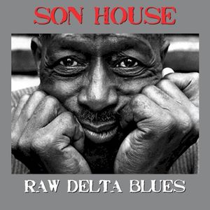 Raw Delta Blues: The Best of the Bottleneck Blues Master on 2 CDs