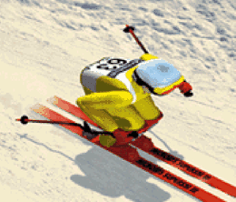 image-https://media.senscritique.com/media/000021091893/0/super_ski_3.png