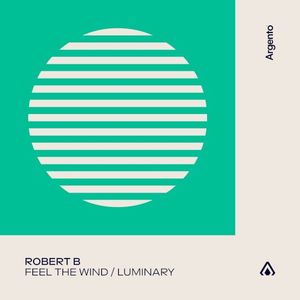 Feel The Wind / Luminary (Single)