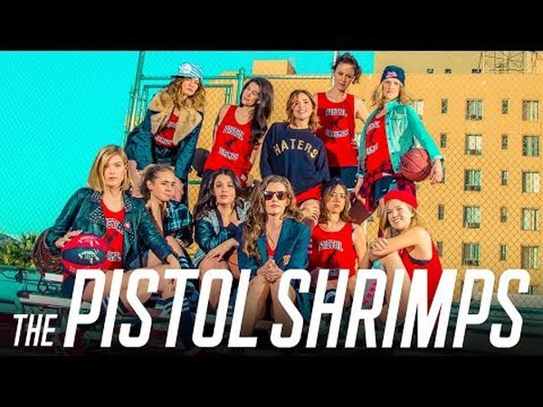 The Pistol Shrimps