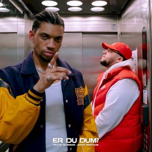 Er Du Dum? (Single)