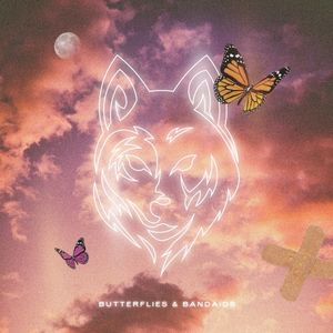 Butterflies & Bandaids (Single)