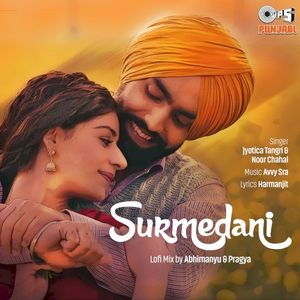 Surmedani (Lofi Mix) (OST)