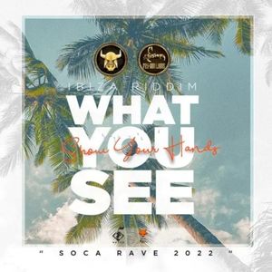 What You See (Show Your Hands) (Single)