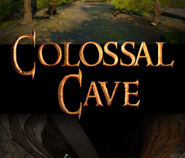 image-https://media.senscritique.com/media/000021095657/0/colossal_cave_3d_adventure.png