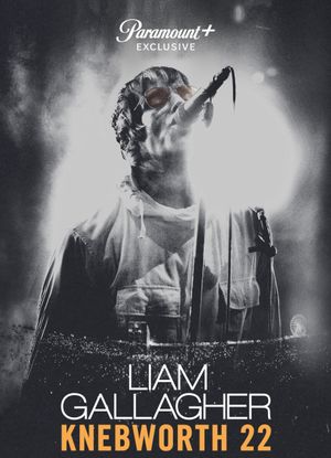 Liam Gallagher en concert : Knebworth 22
