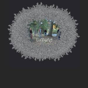 Rooftops Lose Their Shape