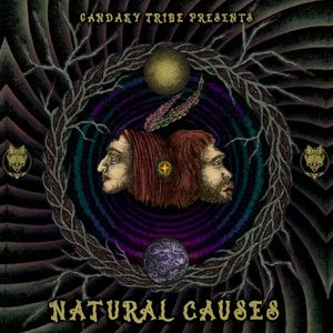 Natural Causes