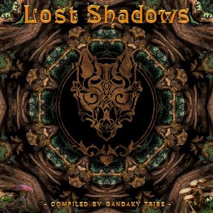 Lost Shadows