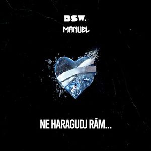 Ne haragudj rám... (Single)