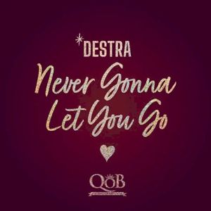 Never Gonna Let You Go (Single)