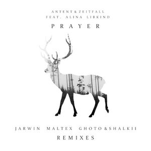 Prayer (Maltex remix)