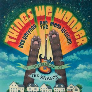 Things We Wonder: An Interpretation of the Shaggs