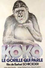 Affiche Koko, le gorille qui parle