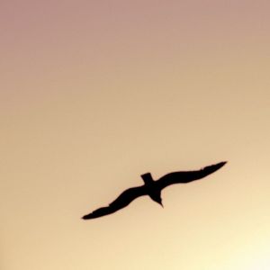 Under Quiet Skies (Single)