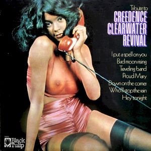 Tribute to Creedence Clearwater Revival