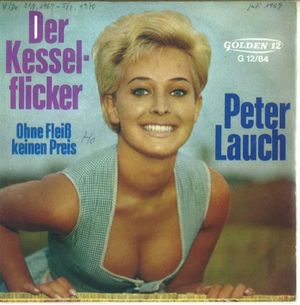 Der Kesselflicker