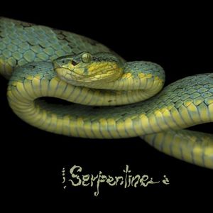 Serpentine (EP)