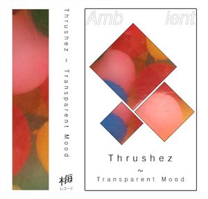 Transparent Mood (EP)