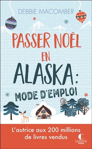 Passer Noël en Alaska : mode d'emploi