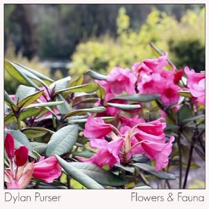 Flowers & Fauna (Single)