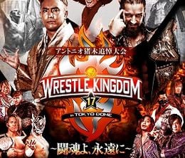 image-https://media.senscritique.com/media/000021120855/0/njpw_wrestle_kingdom_17.jpg