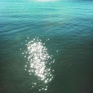 Bloom (Single)