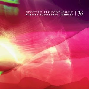 36 - Free Ambient Electronic Sampler