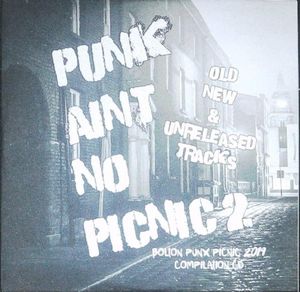 Punk Ain't No Picnic 2