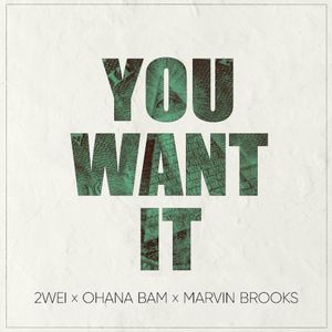 You Want It (Single)