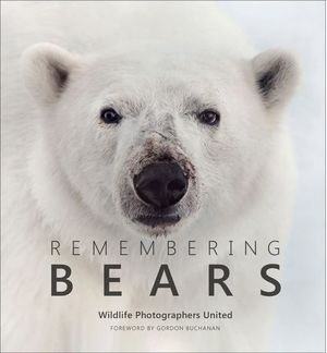 Remembering Bears