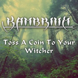 Toss a Coin to Your Witcher