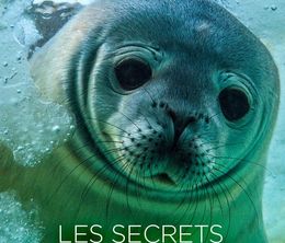 image-https://media.senscritique.com/media/000021127277/0/les_secrets_des_animaux_des_glaces.jpg
