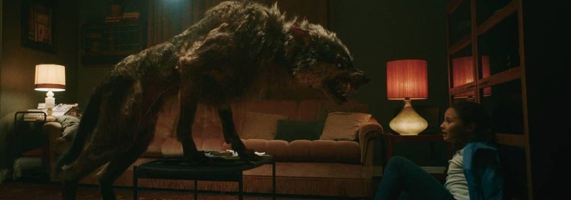 Cover Viking Wolf