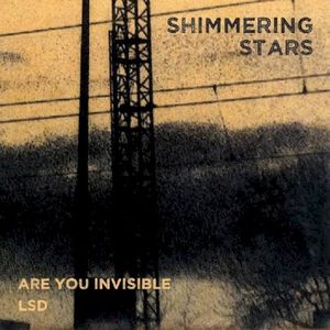 Are You Invisible / LSD (Single)