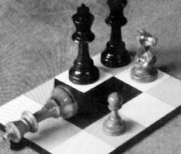 image-https://media.senscritique.com/media/000021135044/0/8_x_8_a_chess_sonata_in_8_movements.jpg