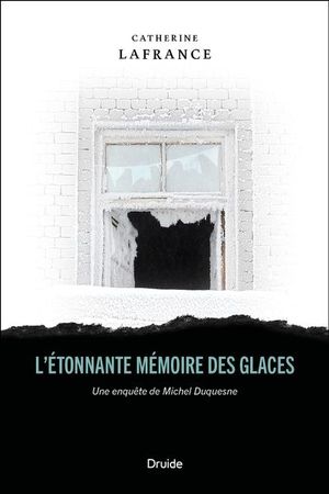 L'étonnante mémoire des glaces : enquête de Michel Duquesne