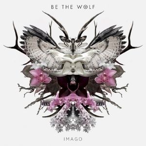 Imago