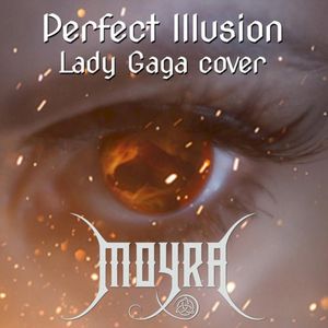 Perfect Illusion (Single)
