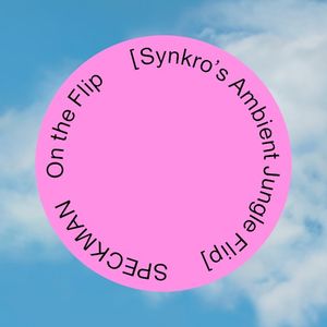 On the Flip (Synkro`s ambient jungle Flip) (Single)