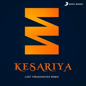 Kesariya - Lost Frequencies Remix