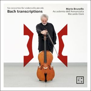 Harpsichord Concerto in D Major, BWV 972 (Transcr. for Violoncello piccolo, Strings and Continuo by Mario Brunello): II. Larghet