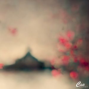 Take it easy (Single)
